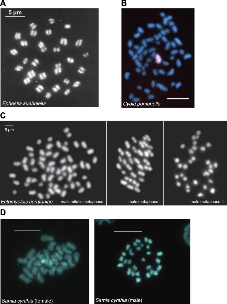 Figure 1—figure supplement 9.