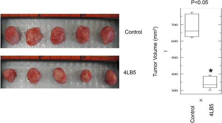 Fig. S9.