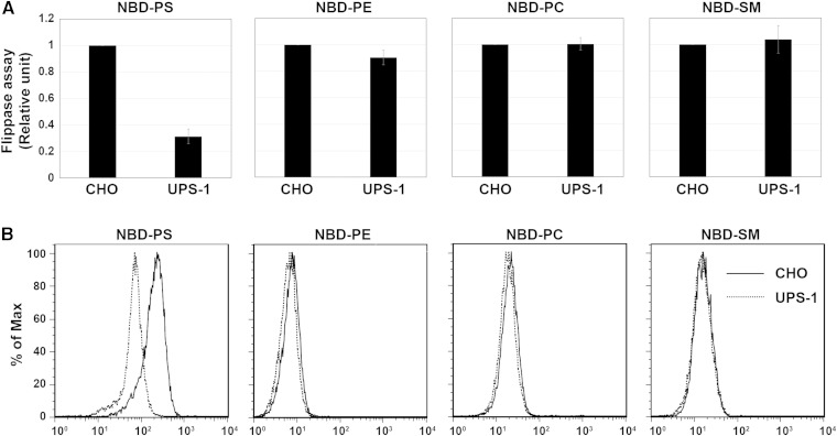 Fig. 1.