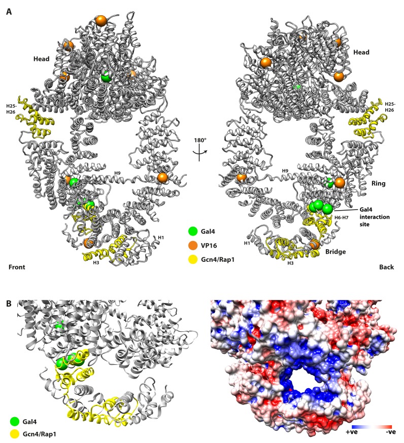 Figure 4.