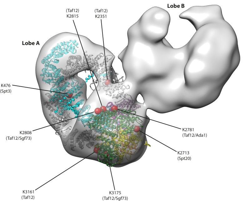 Figure 3.