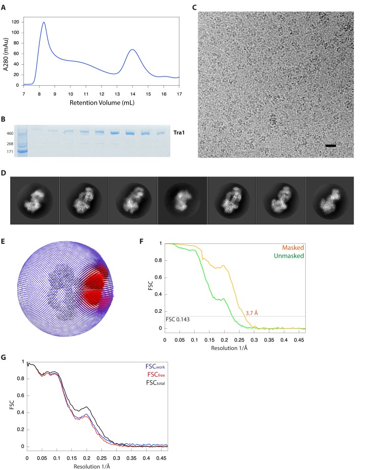 Figure 1—figure supplement 3.