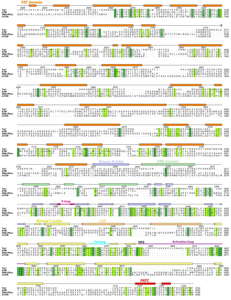 Figure 1—figure supplement 2.