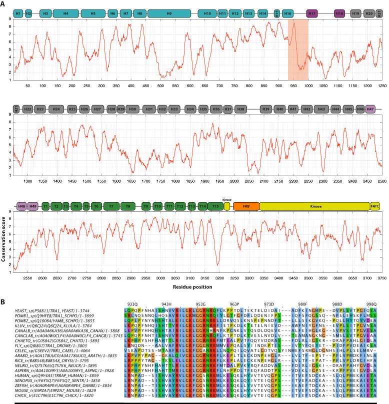 Figure 1—figure supplement 1.