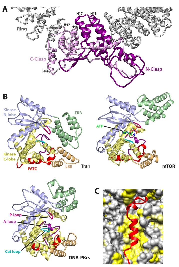 Figure 2.