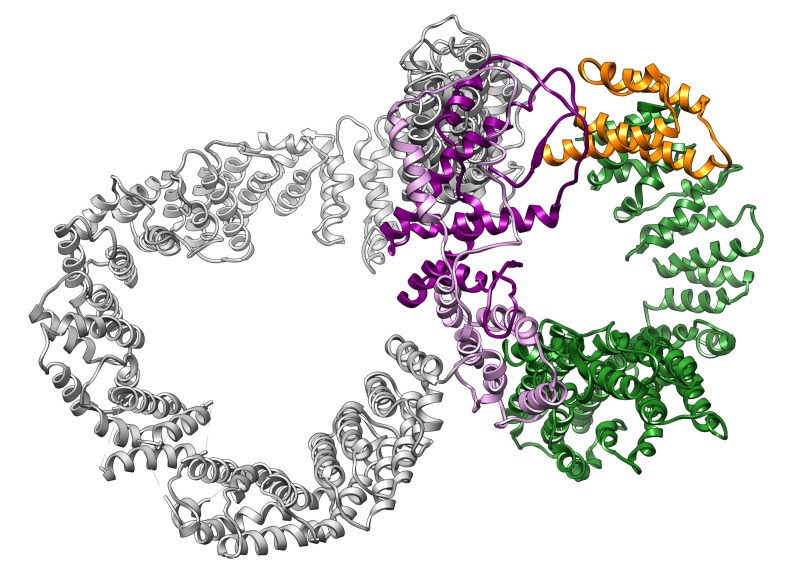 Figure 2—figure supplement 1.