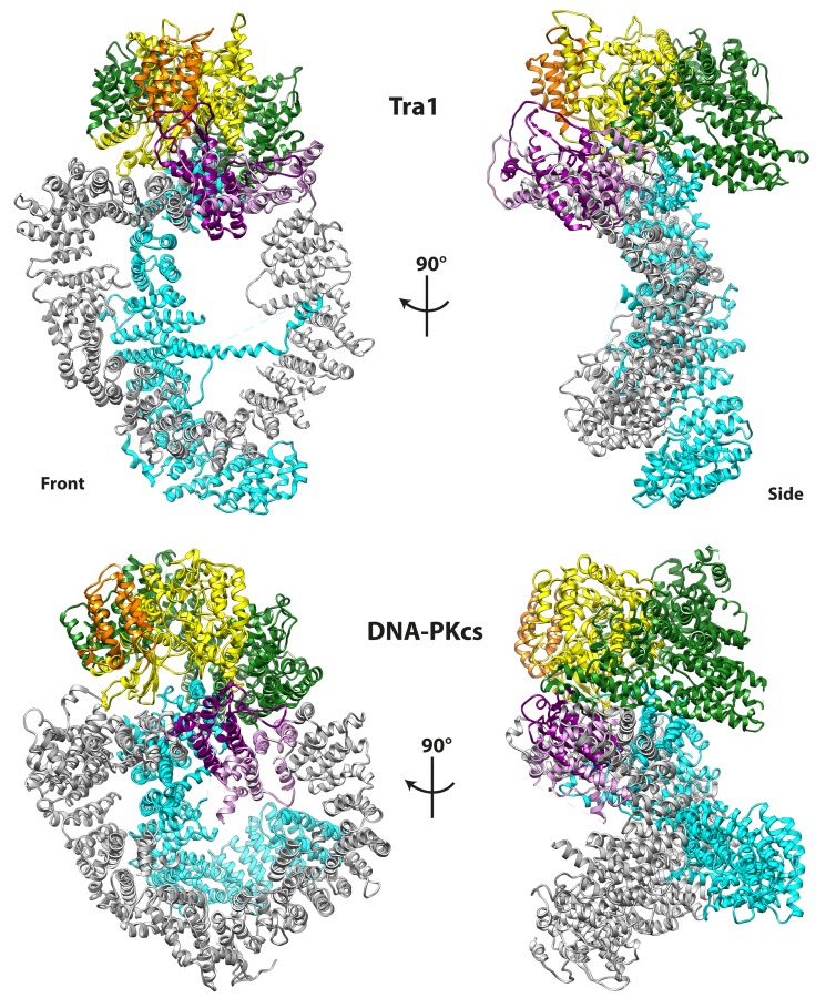 Figure 5.