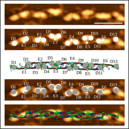 graphic file with name nihms-1025286-f0001.jpg