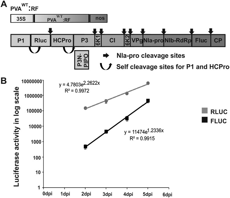 FIG 9