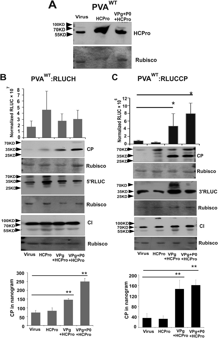 FIG 4