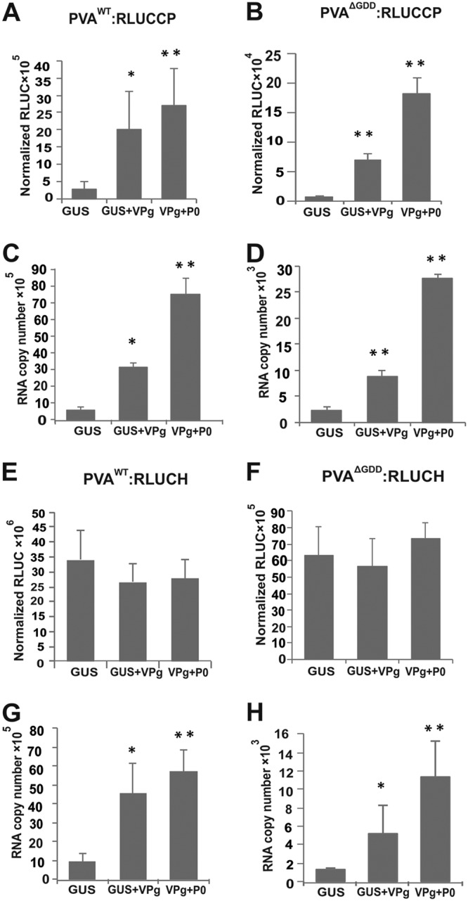 FIG 2