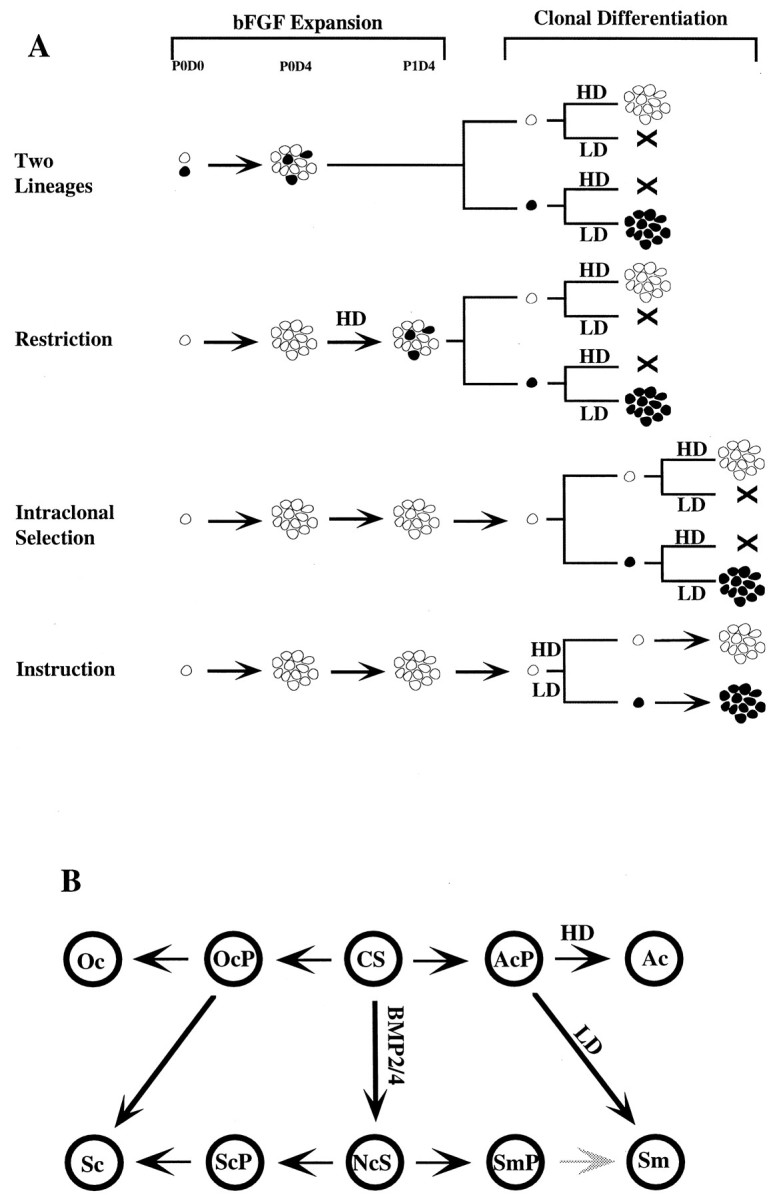 Fig. 8.