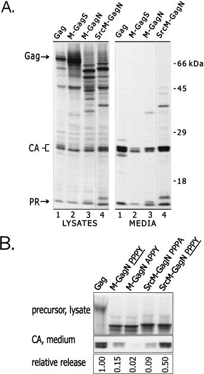 FIG. 3