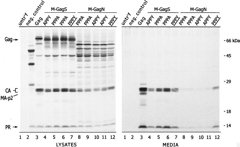 FIG. 4