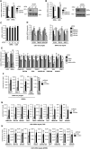 Fig. S1.