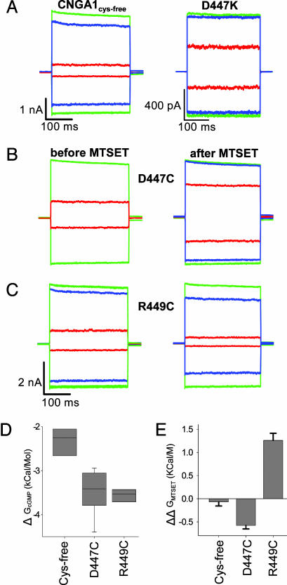 Fig. 5.