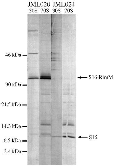 FIG. 7