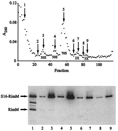 FIG. 6