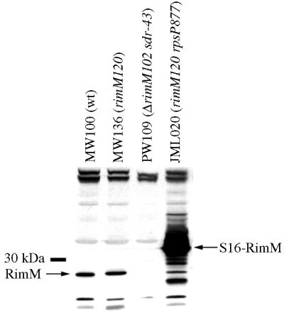 FIG. 5