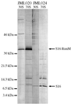 FIG. 7