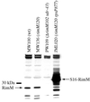 FIG. 5