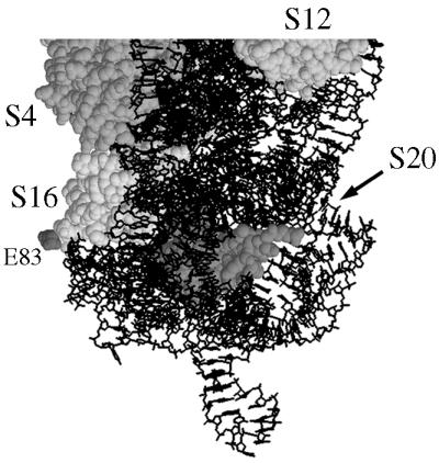 FIG. 8