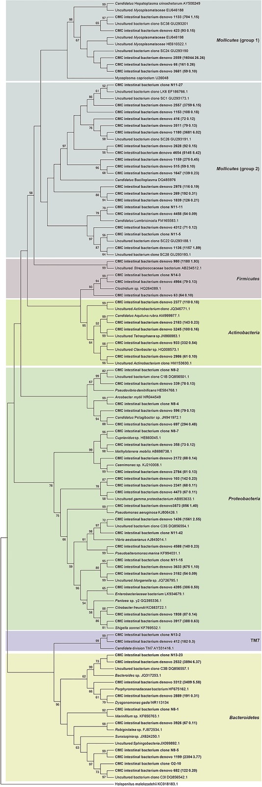 Fig 10