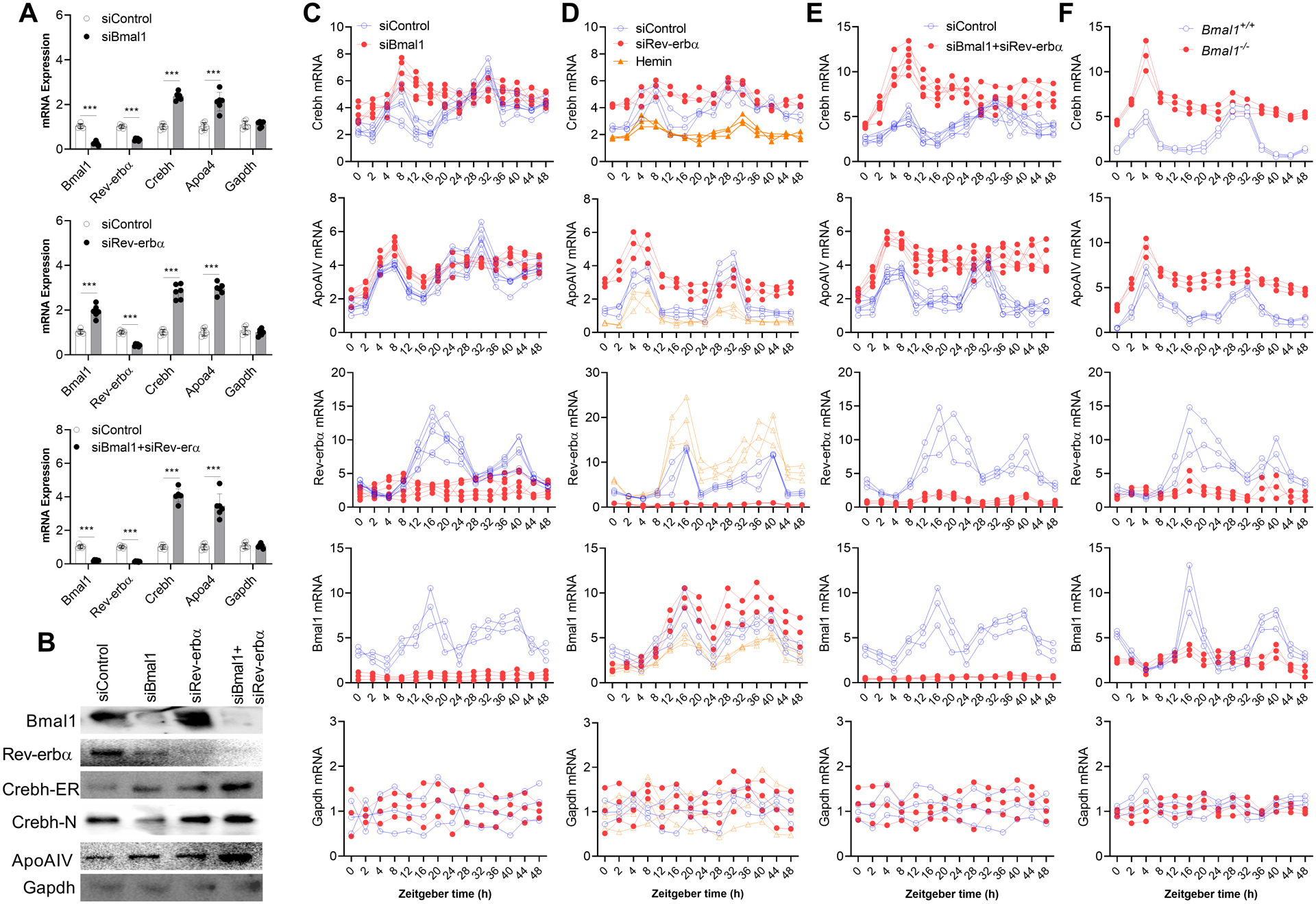 Figure 6: