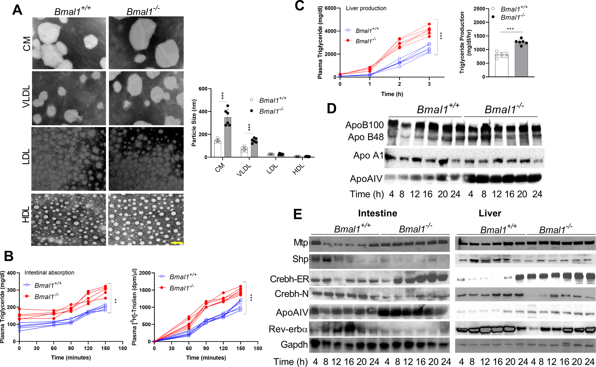 Figure 1: