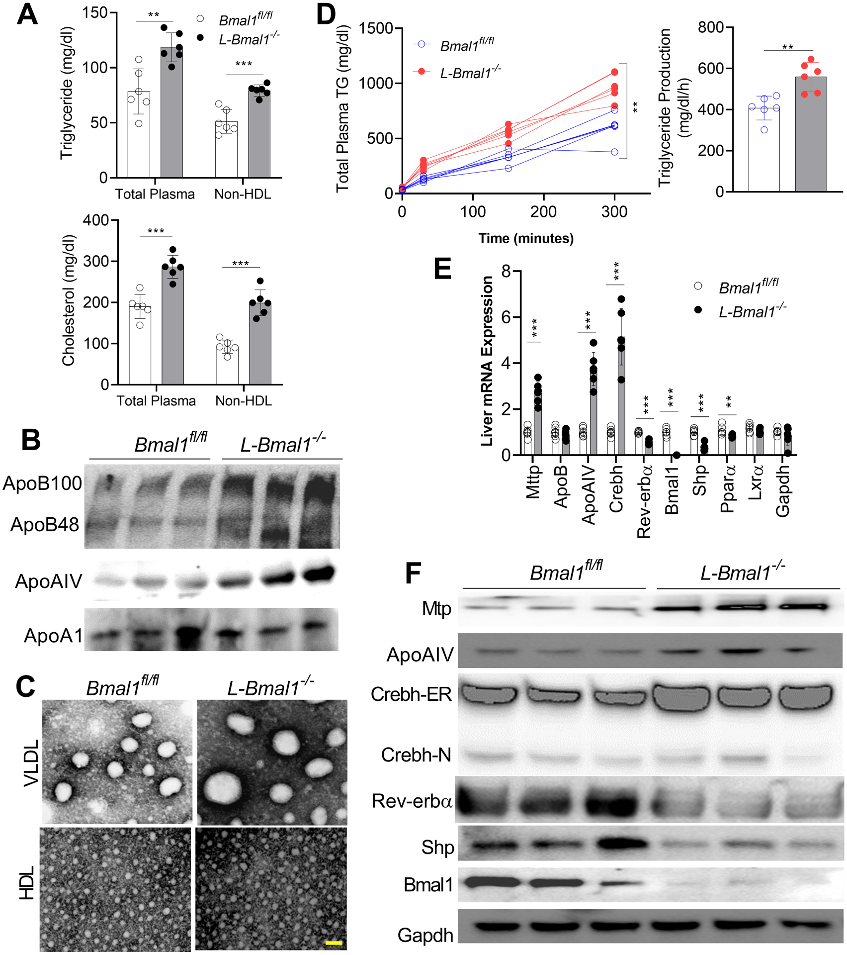 Figure 3: