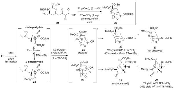 Scheme 3