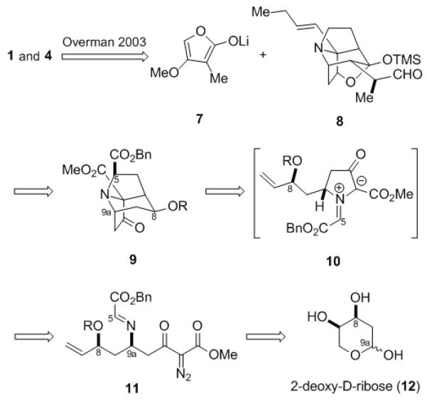 Scheme 1