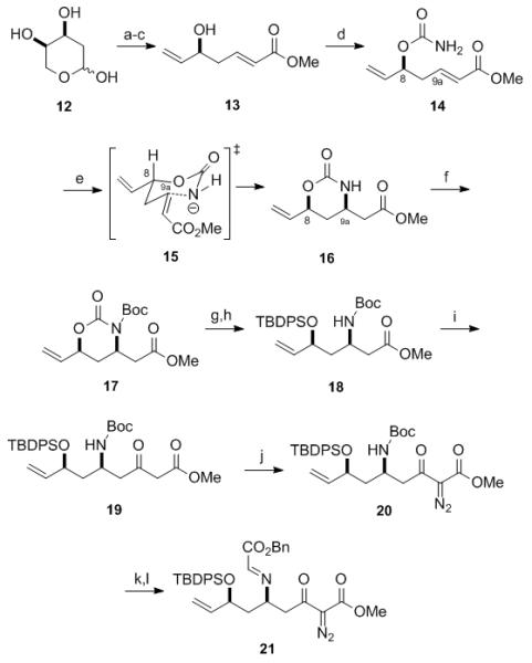 Scheme 2