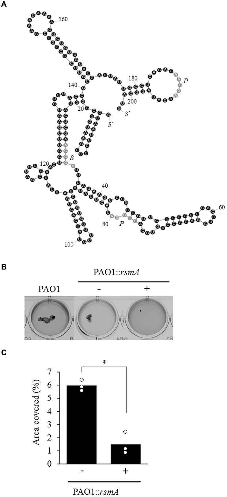 FIGURE 3