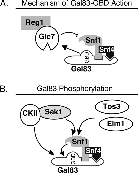 FIG. 9.