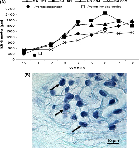 Fig. 3