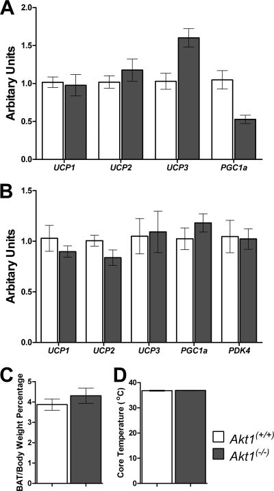 Fig 8