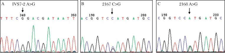 Fig. 5