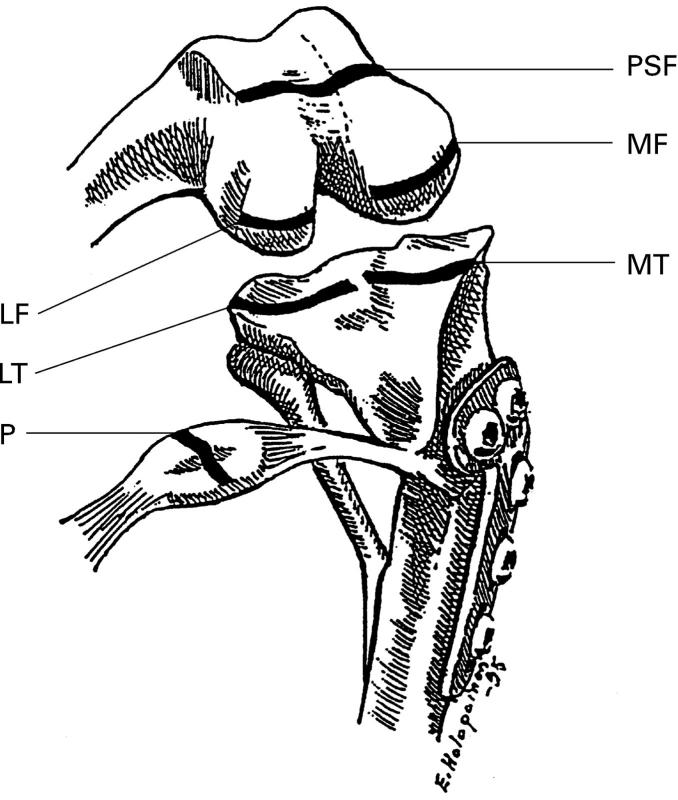 Figure 1  