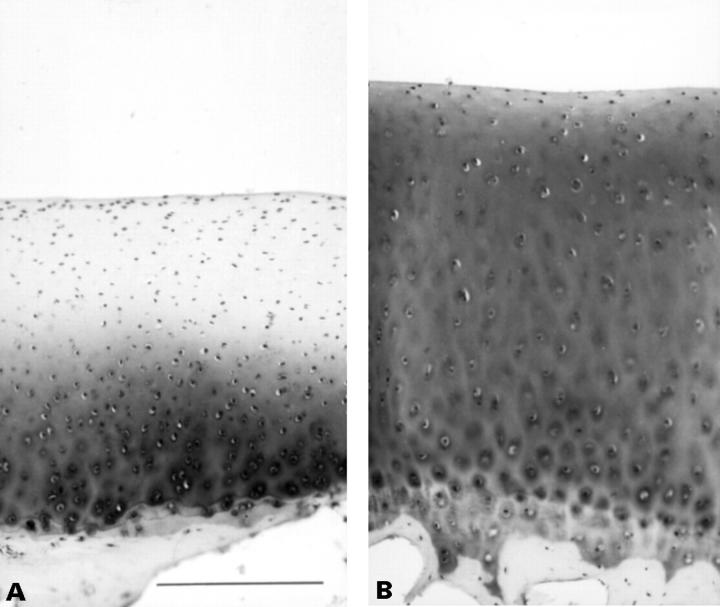 Figure 3  