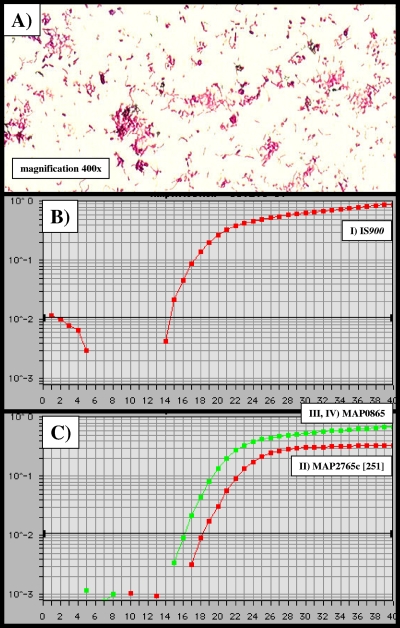 Fig. 2.