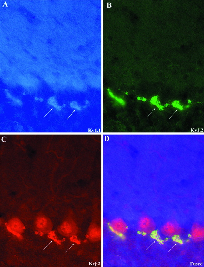 Fig. 9.