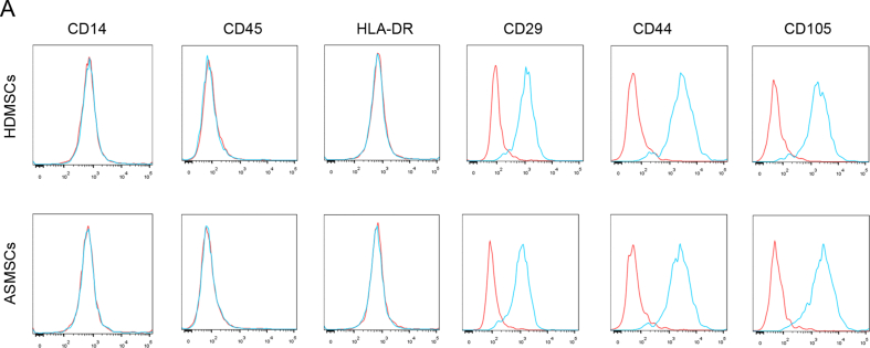 Supplementary Figure 1