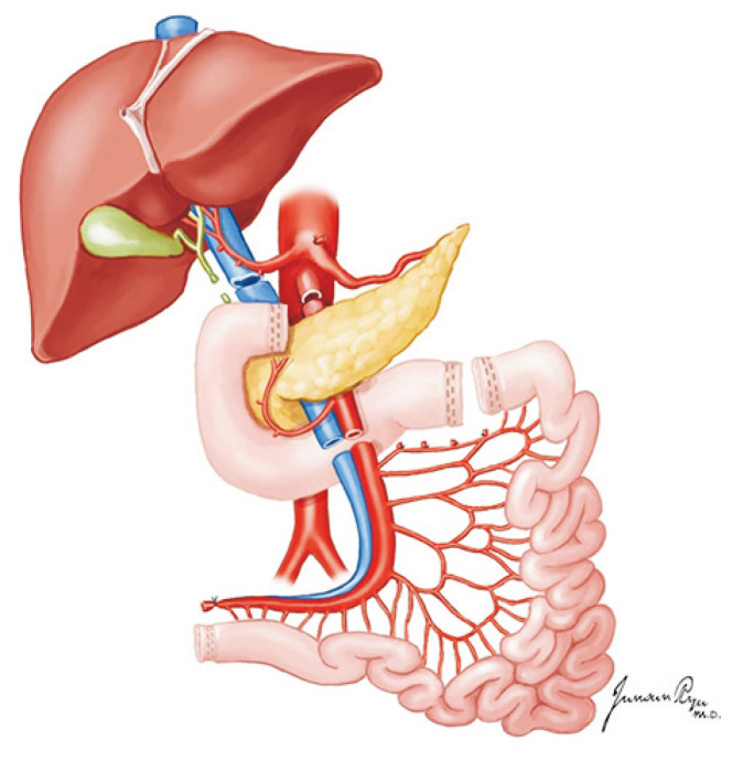 Fig. 13