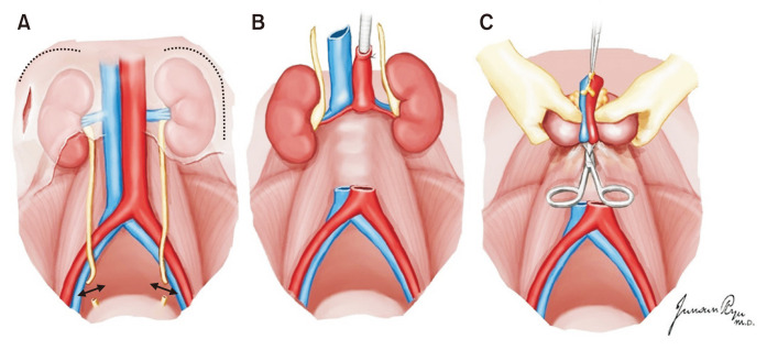 Fig. 20