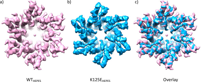 Figure 5—figure supplement 5.