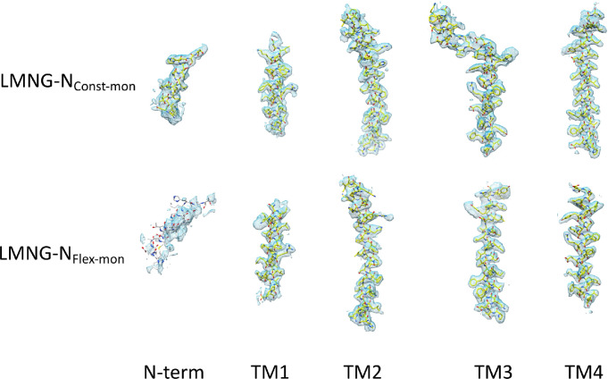 Figure 3—figure supplement 2.