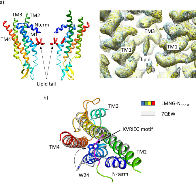 Figure 1—figure supplement 3.