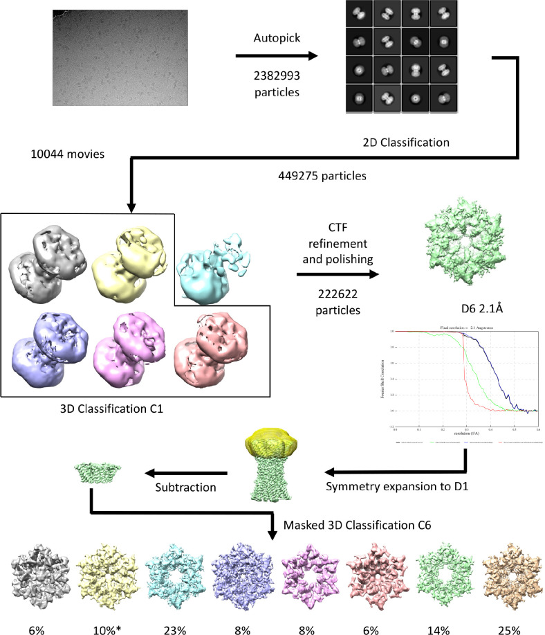 Figure 5—figure supplement 3.