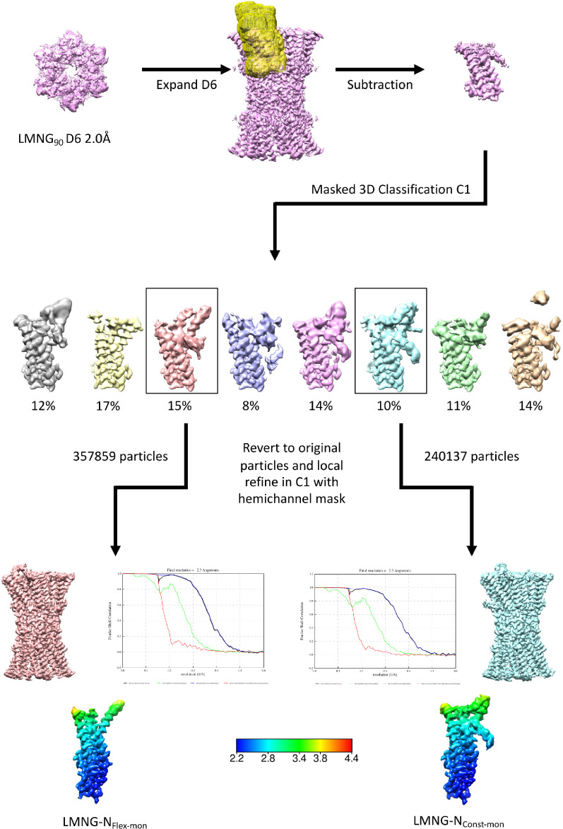 Figure 3—figure supplement 1.